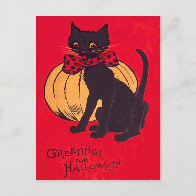 Black Cat Bowtie Pumpkin Vintage Postcard (Front)