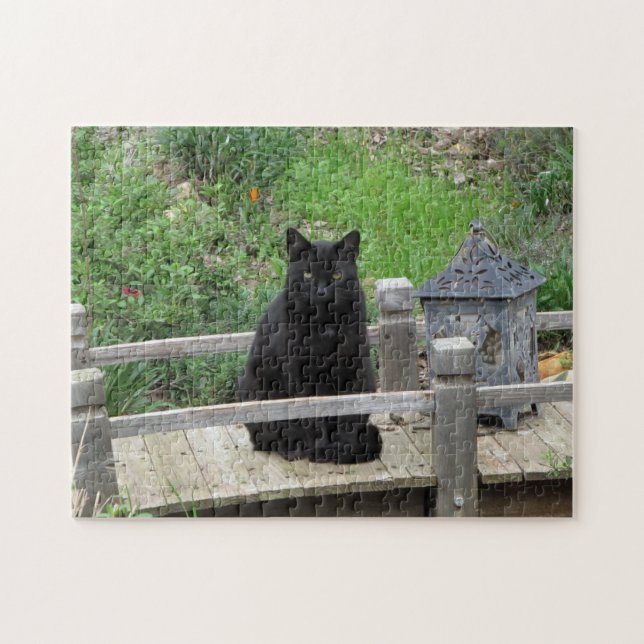 Black Cat Bridge Puzzle (Horizontal)