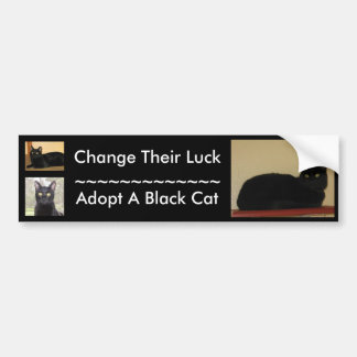 Black Cat Bumper Sticker
