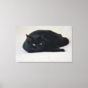 Black Cat Canvas Print