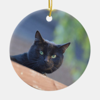Black cat ceramic ornament