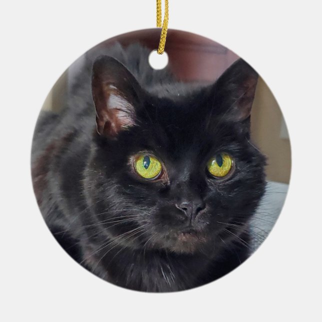 Black cat ceramic ornament (Front)