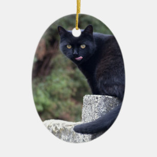 Black Cat Ceramic Ornament