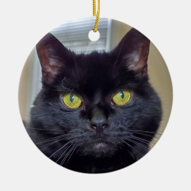 Black cat  ceramic ornament (Front)
