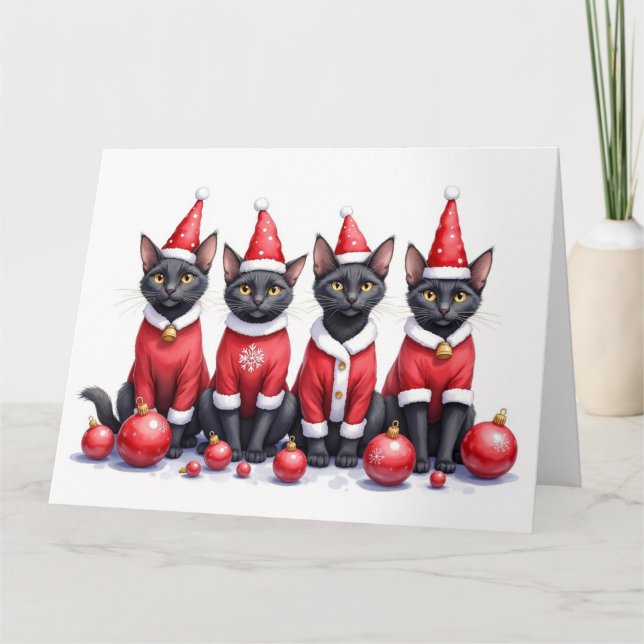 Black Cat Christmas Dress Santa Hat Card (Front)