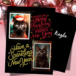 Black cat christmas holiday card
