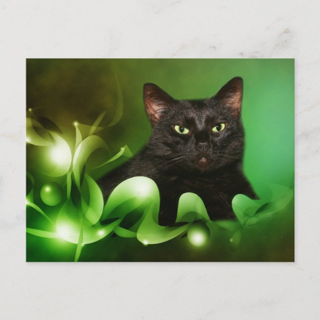 Black cat Christmas Holiday Postcard (Front)