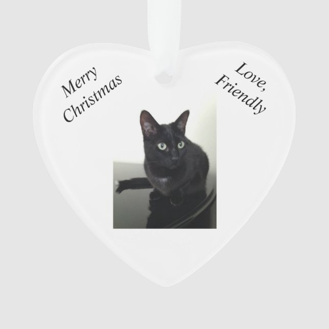 Black Cat Christmas Ornament (Front)