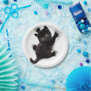 Black Cat Climbing On Human Back Paper Plate