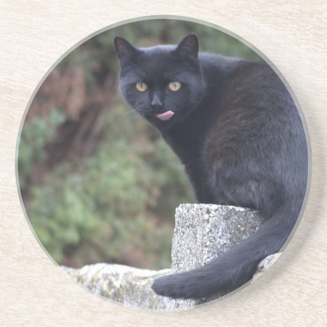 Black Cat Coaster (Front)