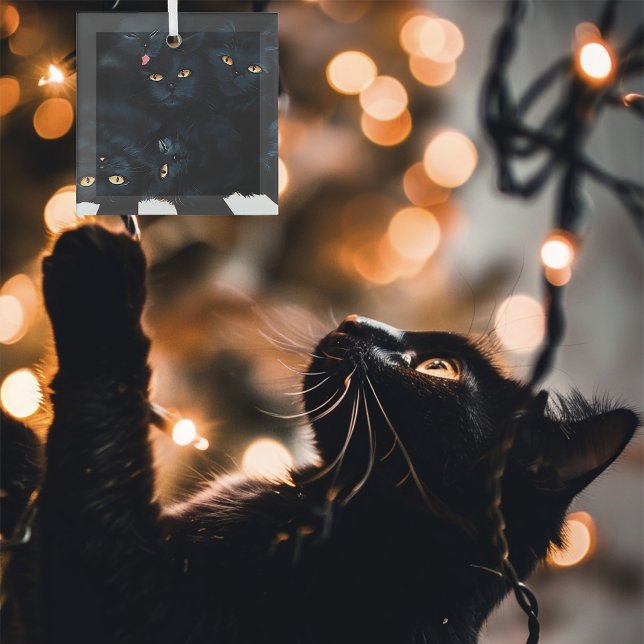 Black Cat Cuddle Glass Ornament (Creator Uploaded)
