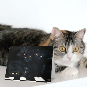 Black Cat Cuddle Pile Felines Cute Card