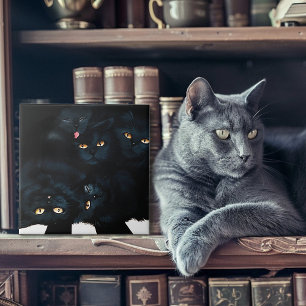 Black Cat Cuddle Tile