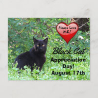 Black Cat Day of Appreciation Postcard