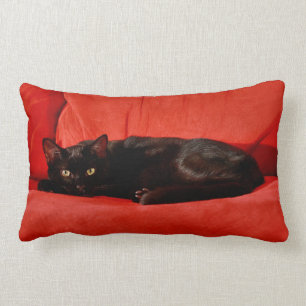 Black Cat Edgar Lumbar Pillow