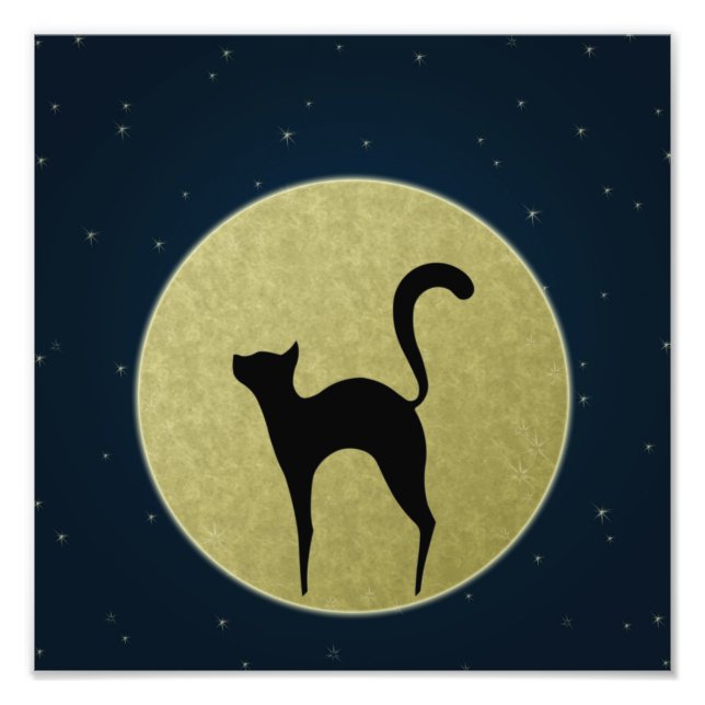 Black cat elegant silhouette and moon photo print (Front)