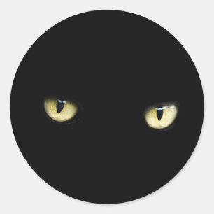 Black Cat Eyes   Cat Eye Macro Classic Round Sticker