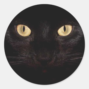 Black Cat Eyes Classic Round Sticker