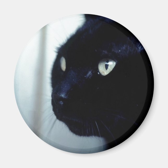 Black Cat Face Magnet (Front)