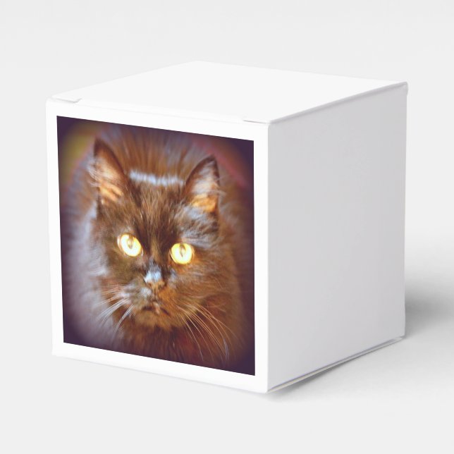 black cat favor box (Front Side)