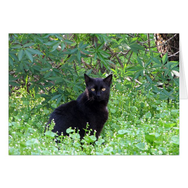 Black Cat Feeling Lonely Without You Card (Front Horizontal)