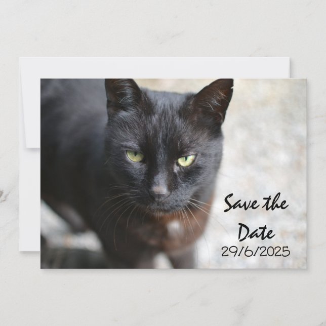 Black Cat Folded Save The Date Invitation Card (Front)