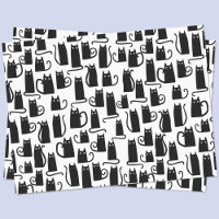 Black Cat Fun