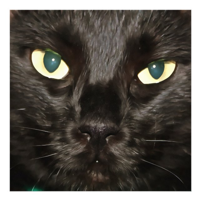 Black Cat Gorgeous Artistic Pet Portrait Photo Print (Front)