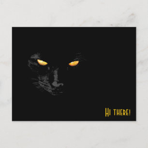 Black Cat greetings funny customizable Postcard