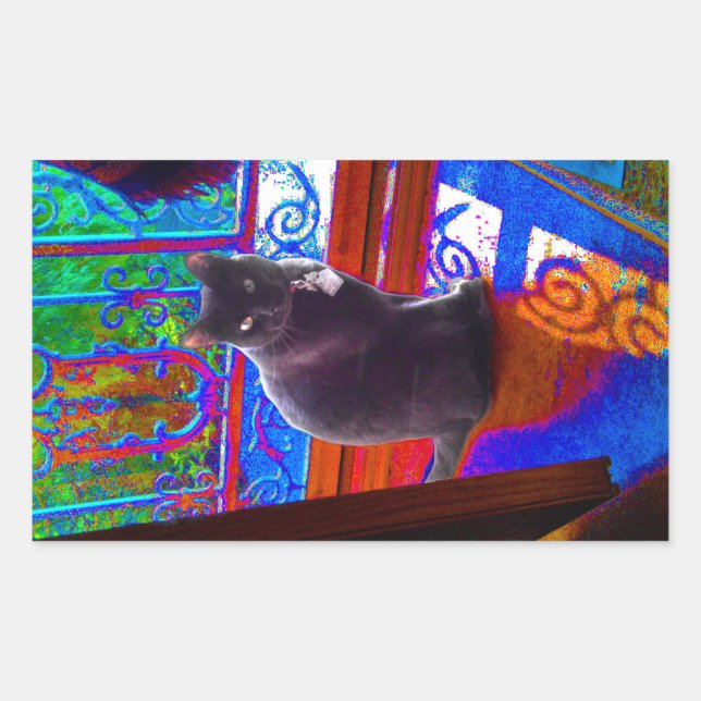 Black Cat Guards a Psychedelic Doorway Sticker (Front)