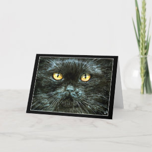 Black Cat Halloween or Note Card