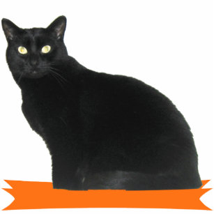 Black Cat Halloween Party Photo Sculpture