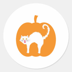 Black cat Halloween, spooky cat pumpkin Halloween Classic Round Sticker