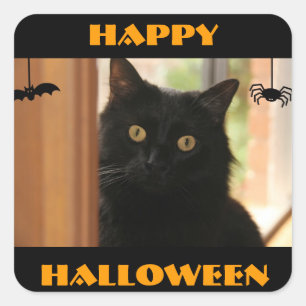 Black Cat Happy Halloween Stickers