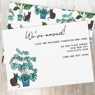 Black Cat Houseplant Moving New Home Announcement