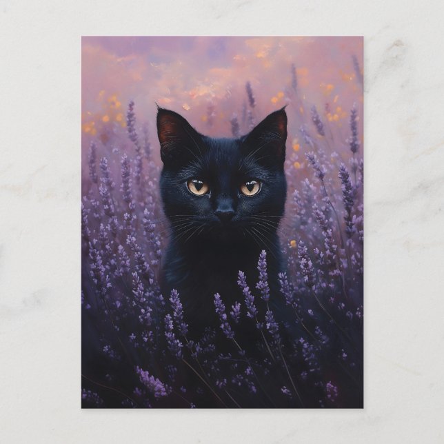 Black Cat in a Lavender Field Illustration Postcard (Front)