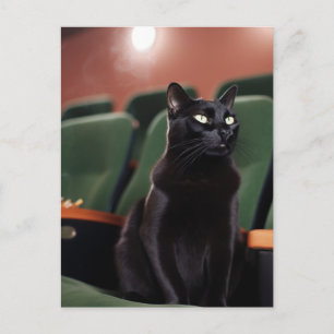 Black Cat in a Theatre Postcard
