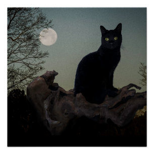 Black Cat in a Tree in Front of a Full Moon Poster
