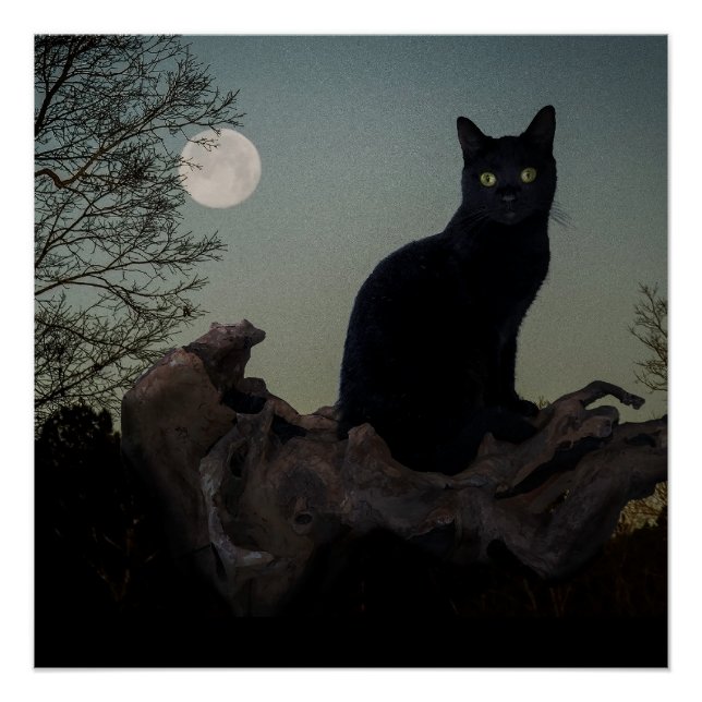 Black Cat in a Tree in Front of a Full Moon Poster (Front)