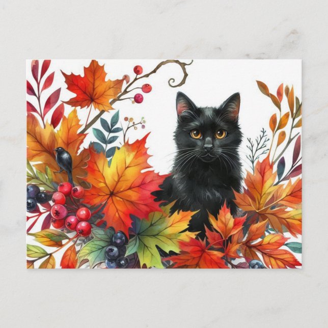 Black Cat in Autumn Colourful Leaves Postcard (Front)