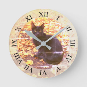 Black Cat in Autumn Photo Round Clock