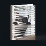 Black Cat In Blinds For Birthday Card<br><div class="desc">A curious black cat is peeking through white window blinds with its paws gripping the slats for birthday.
Text is editable.</div>