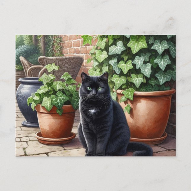 Black Cat in Garden Cat Lovers  Postcard (Front)