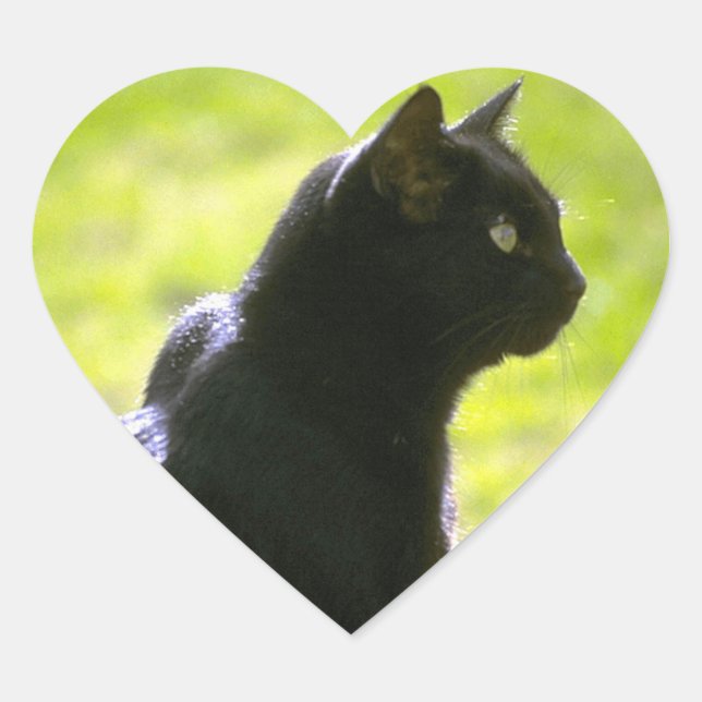 Black Cat in Profile Heart Sticker (Front)