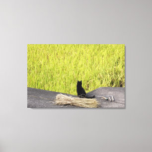 Black Cat in Rice Paddy Canvas Print