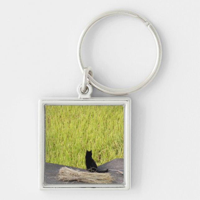 Black Cat in Rice Paddy Keychain (Front)