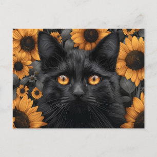 Black Cat in Sunflower Field Postcard