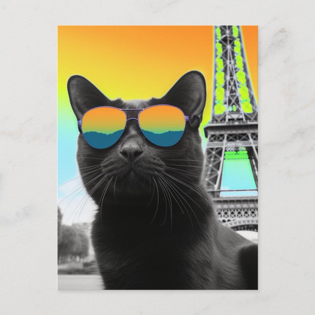 Black Cat in Sunglasses in Paris Postcard (Front)