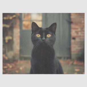Black Cat in the Autumn Scenic Decoupage Tissue Paper