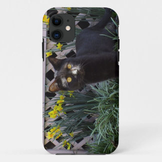 Black Cat In The Daffodils iPhone 5 Case